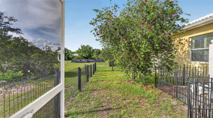 An Adjacent Fenced Dog Run Provides A Secure And Convenient Outdoor Area For Pets, Thoughtfully Separated From The Pool Enclosure While Remaining Easily Accessible.