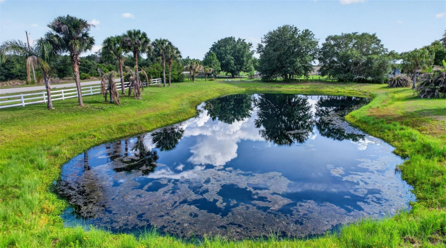 A Scenic Pond And Mature Landscaping Contribute To The Estate'S Peaceful Atmosphere And Park-Like Setting
