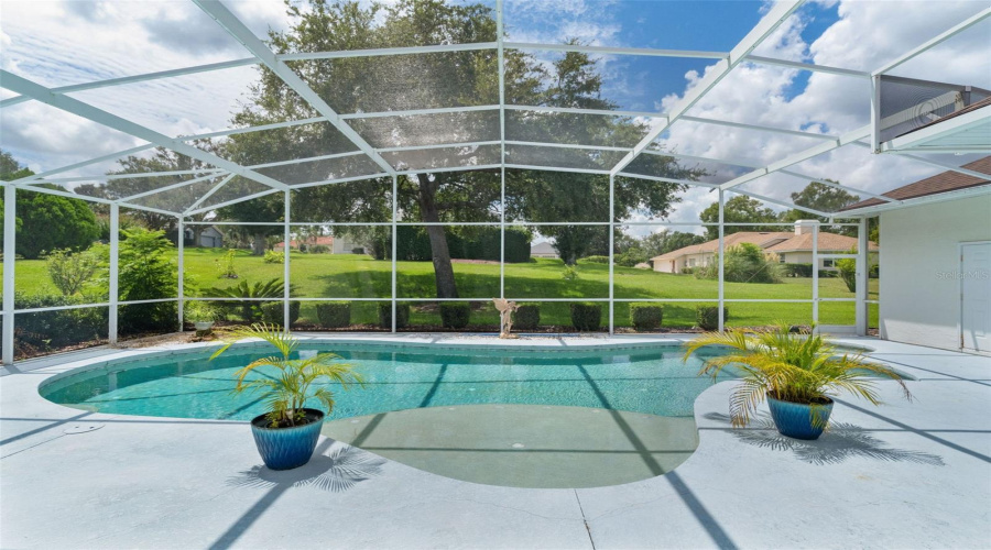 Pool &Amp; Spa