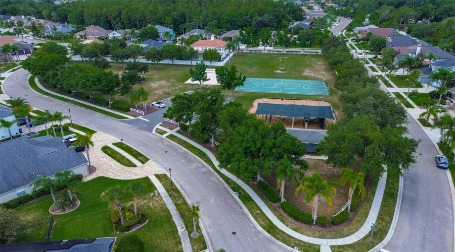 Large Park