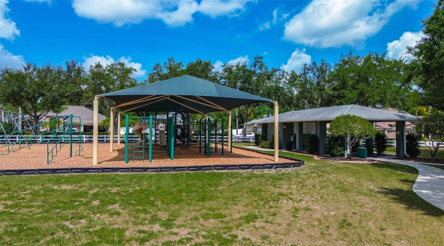 Large Park