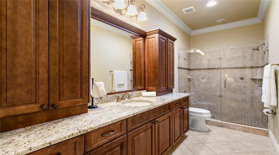 Odessa, Florida 33556, 8 Bedroom Bedrooms, ,8 Bathroombathrooms,Residential,For Sale,Post,0,Mfrtb8500578