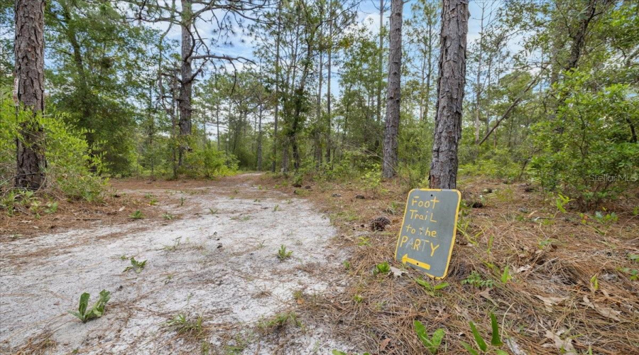 Spring Hill, Florida 34610, 3 Bedroom Bedrooms, ,2 Bathroombathrooms,Residential,For Sale,Peace,0,Mfrtb8522005