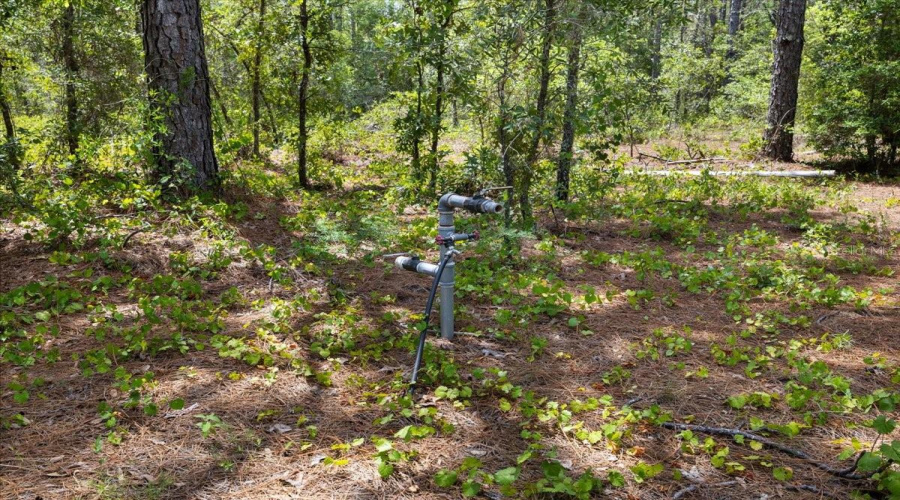 Spring Hill, Florida 34610, 3 Bedroom Bedrooms, ,2 Bathroombathrooms,Residential,For Sale,Peace,0,Mfrtb8522005