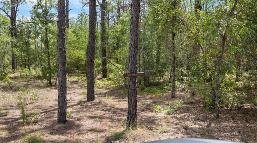 Spring Hill, Florida 34610, 3 Bedroom Bedrooms, ,2 Bathroombathrooms,Residential,For Sale,Peace,0,Mfrtb8522005