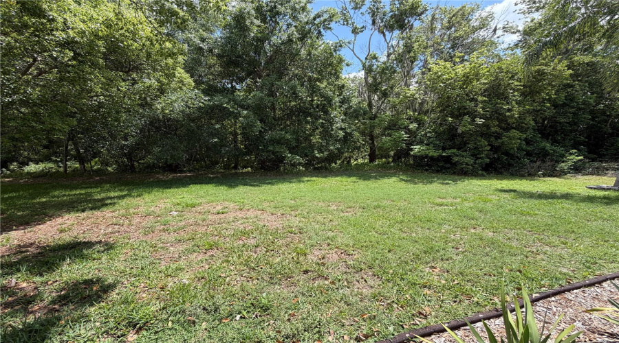 Trinity, Florida 34655, 4 Bedroom Bedrooms, ,3 Bathroombathrooms,Residential,For Sale,Kinsmere,0,Mfrw7884771