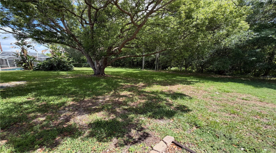 Trinity, Florida 34655, 4 Bedroom Bedrooms, ,3 Bathroombathrooms,Residential,For Sale,Kinsmere,0,Mfrw7884771