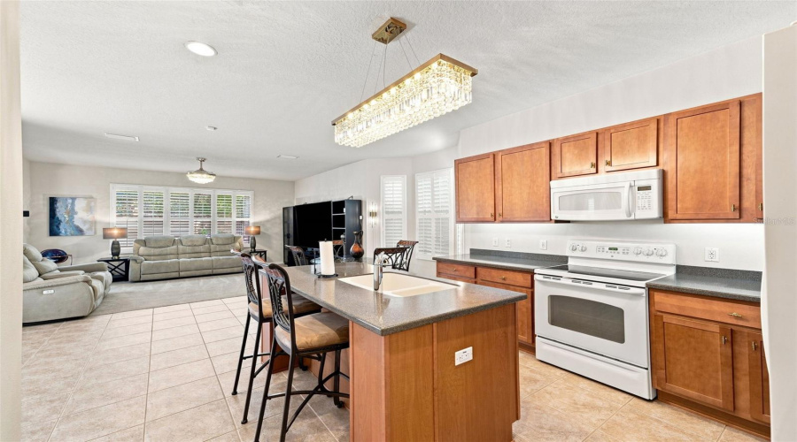Brooksville, Florida 34604, 4 Bedroom Bedrooms, ,3 Bathroombathrooms,Residential,For Sale,Wake Robin,0,Mfrtb8538773