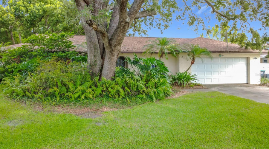 Orlando, Florida 32817, 3 Bedroom Bedrooms, ,2 Bathroombathrooms,Residential,For Sale,Pamlico,0,Mfro6433318