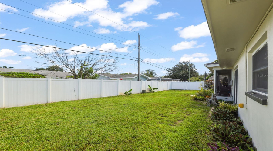 Back Yard