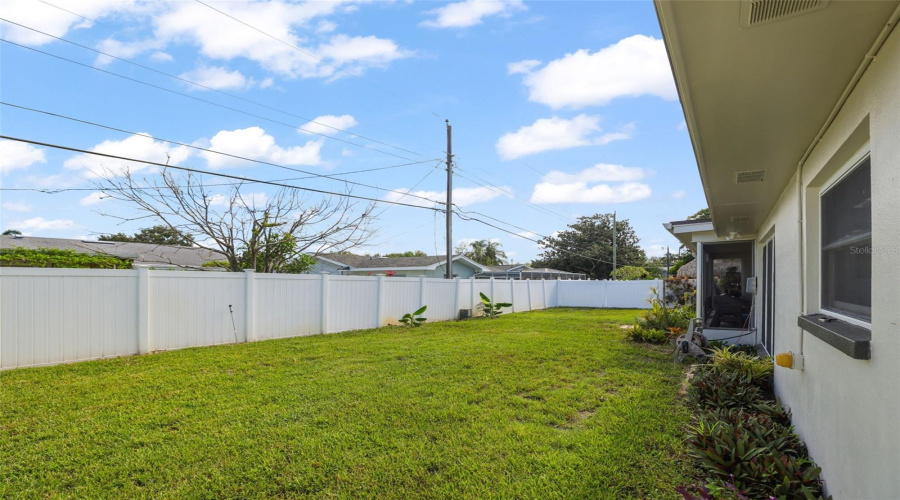 Back Yard