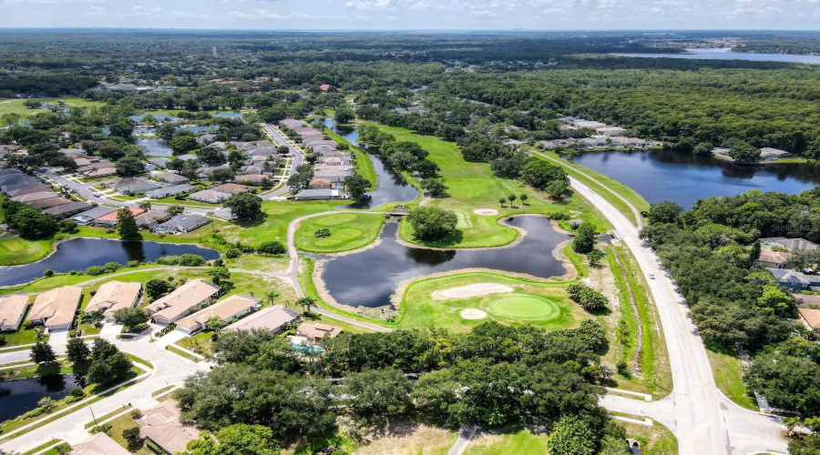 Palm Harbor, Florida 34685, 2 Bedroom Bedrooms, ,2 Bathroombathrooms,Residential,For Sale,Silk Oak,0,Mfrtb8540074