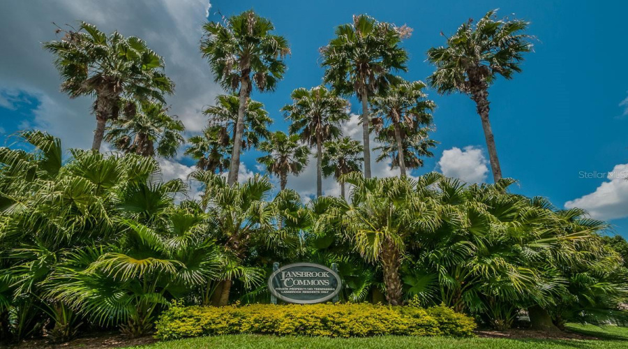 Palm Harbor, Florida 34685, 2 Bedroom Bedrooms, ,2 Bathroombathrooms,Residential,For Sale,Silk Oak,0,Mfrtb8540074