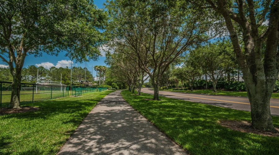 Palm Harbor, Florida 34685, 2 Bedroom Bedrooms, ,2 Bathroombathrooms,Residential,For Sale,Silk Oak,0,Mfrtb8540074