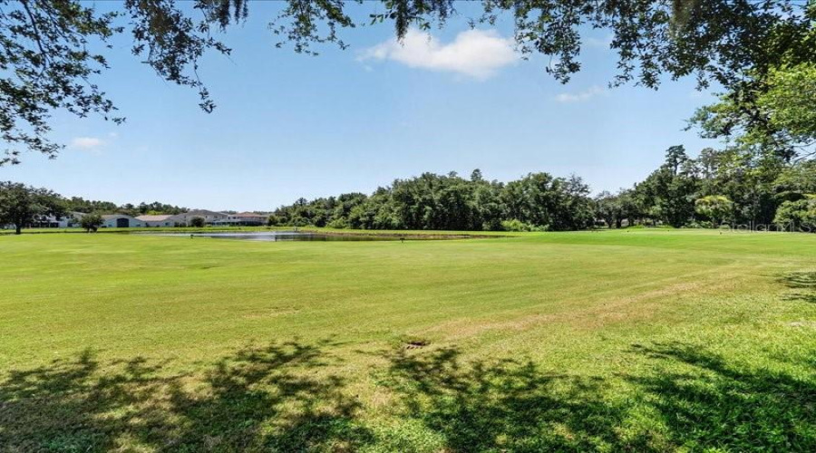 Tampa, Florida 33647, 4 Bedroom Bedrooms, ,3 Bathroombathrooms,Residential,For Sale,Lucaya,0,Mfra4703986