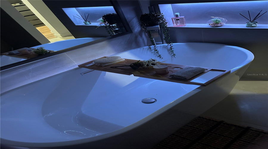 Master Bathtub