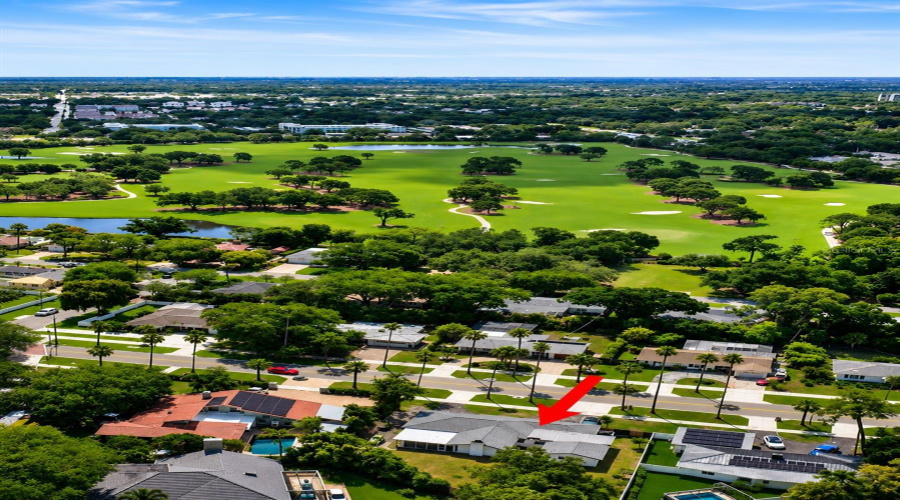 Drone View