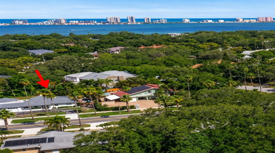 Drone View