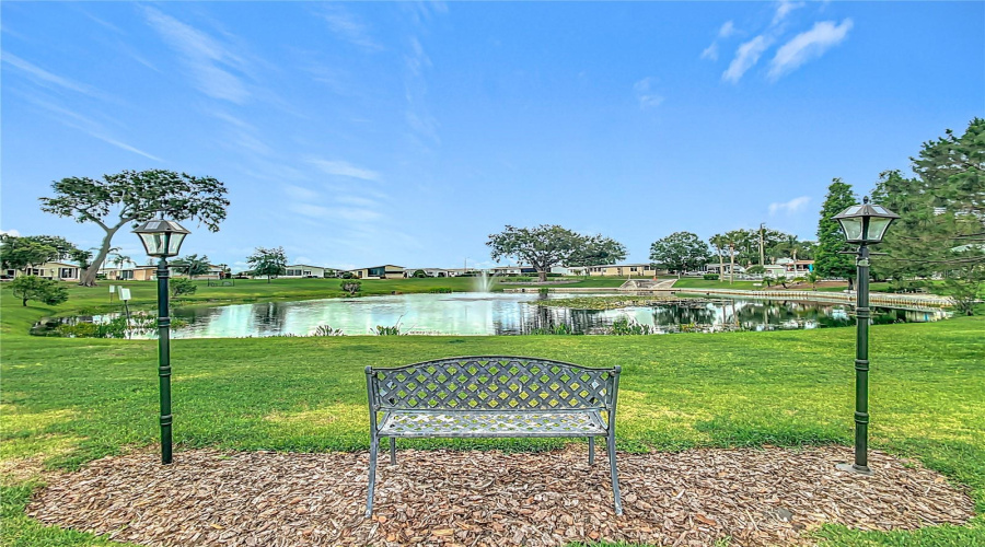 Backyard To Enjoy The View