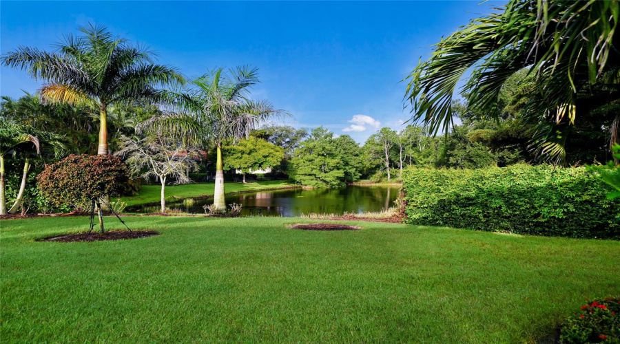 Fencing Is Permitted In This Lake Front Lot In Lakewood Ranch Country Club