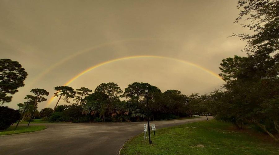 Always Lots Of Rainbows!