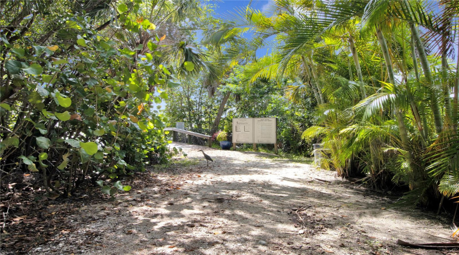 Path Leading To Fishing Pier And Boat Docks. Docks Are Approved And All Assessments Paid For Rebuild In 2026