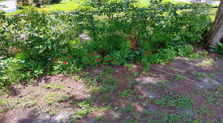 Gainesville, Florida 32641, 4 Bedroom Bedrooms, ,2 Bathroombathrooms,Residential,For Sale,23Rd,0,Mfrw7880965