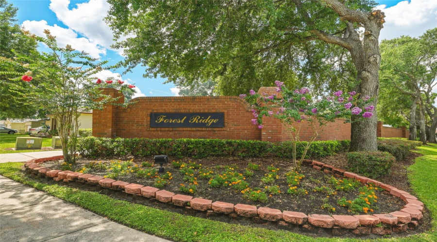 Ocoee, Florida 34761, 3 Bedroom Bedrooms, ,2 Bathroombathrooms,Residential,For Sale,Laurel Ridge,0,Mfro6415129