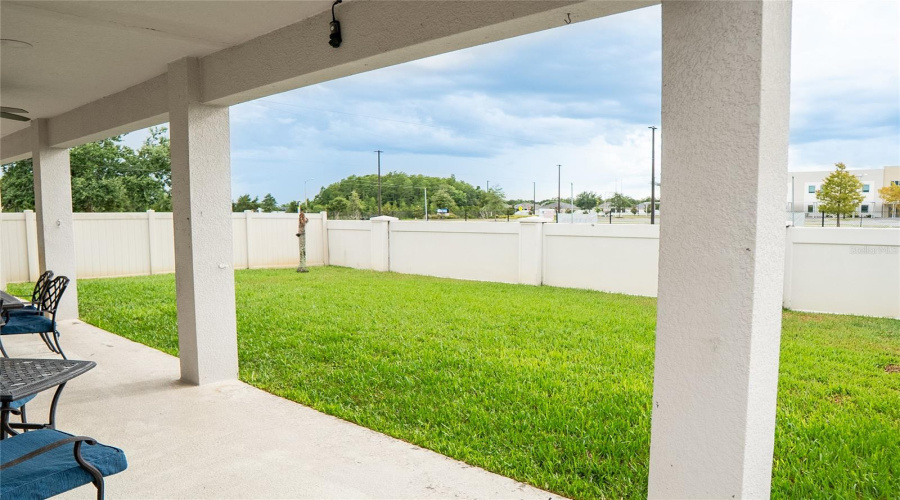 Large Backyard