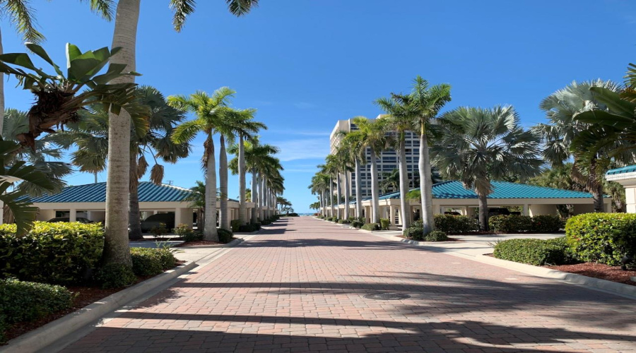 Row Of Royal Palms To Pbc Private Beach
