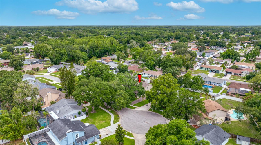 Tampa, Florida 33624, 4 Bedroom Bedrooms, ,2 Bathroombathrooms,Residential,For Sale,Hound Horn,0,Mfrtb8516623