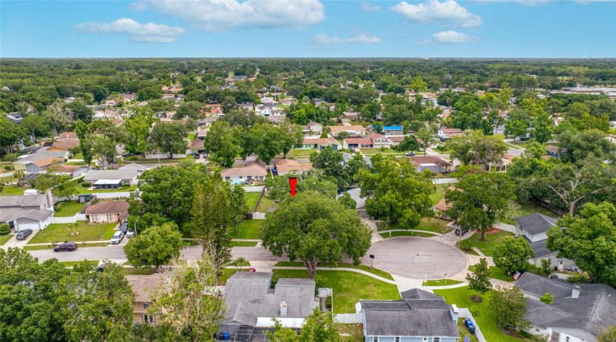 Tampa, Florida 33624, 4 Bedroom Bedrooms, ,2 Bathroombathrooms,Residential,For Sale,Hound Horn,0,Mfrtb8516623