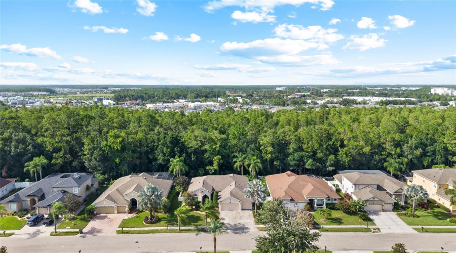 Odessa, Florida 33556, 4 Bedroom Bedrooms, ,3 Bathroombathrooms,Residential,For Sale,Ivy Lake,0,Mfrtb8528968
