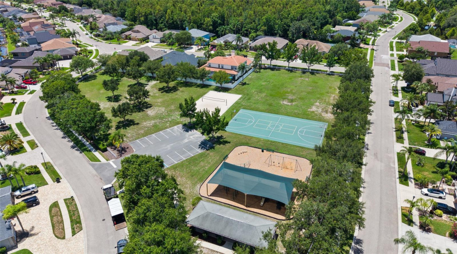 Odessa, Florida 33556, 4 Bedroom Bedrooms, ,3 Bathroombathrooms,Residential,For Sale,Ivy Lake,0,Mfrtb8528968