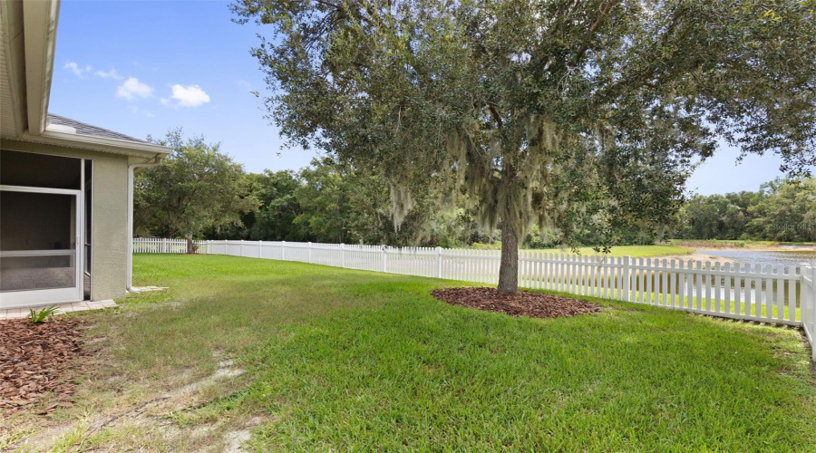Wesley Chapel, Florida 33544, 5 Bedroom Bedrooms, ,4 Bathroombathrooms,Residential,For Sale,Cobalt,0,Mfrtb8540622