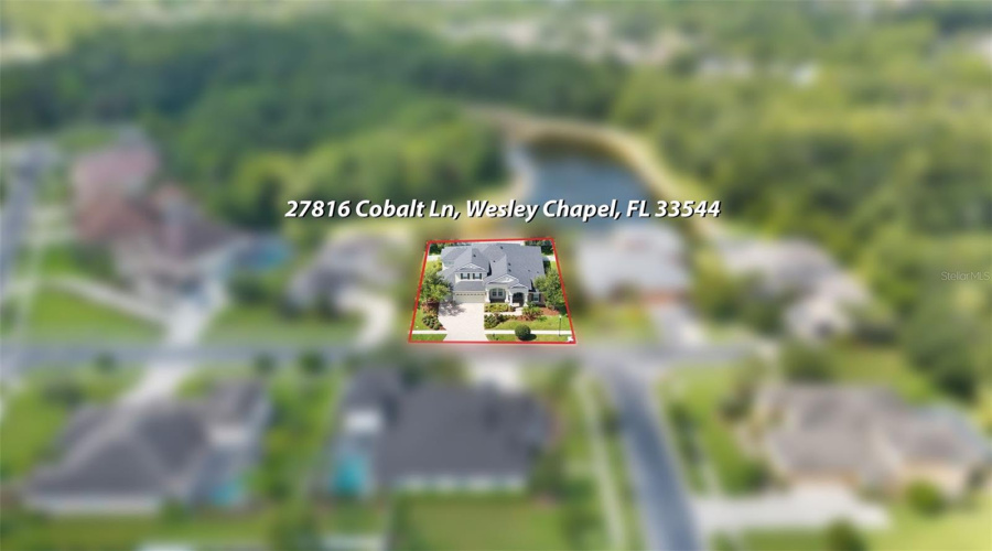 Wesley Chapel, Florida 33544, 5 Bedroom Bedrooms, ,4 Bathroombathrooms,Residential,For Sale,Cobalt,0,Mfrtb8540622