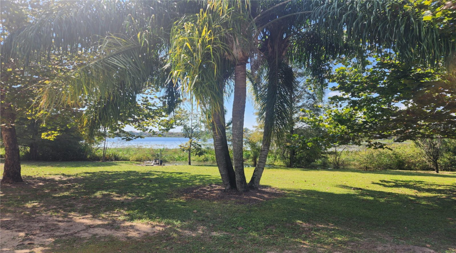 Winter Garden, Florida 34787, 4 Bedroom Bedrooms, ,2 Bathroombathrooms,Residential,For Sale,Arrena,0,Mfro6248982