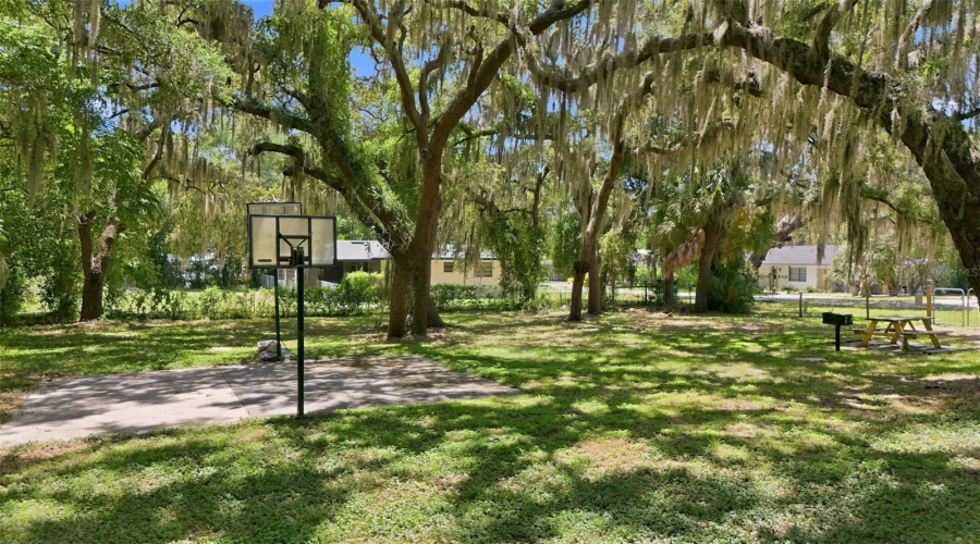 Eustis, Florida 32726, 4 Bedroom Bedrooms, ,2 Bathroombathrooms,Residential,For Sale,Garden,0,Mfro6427661