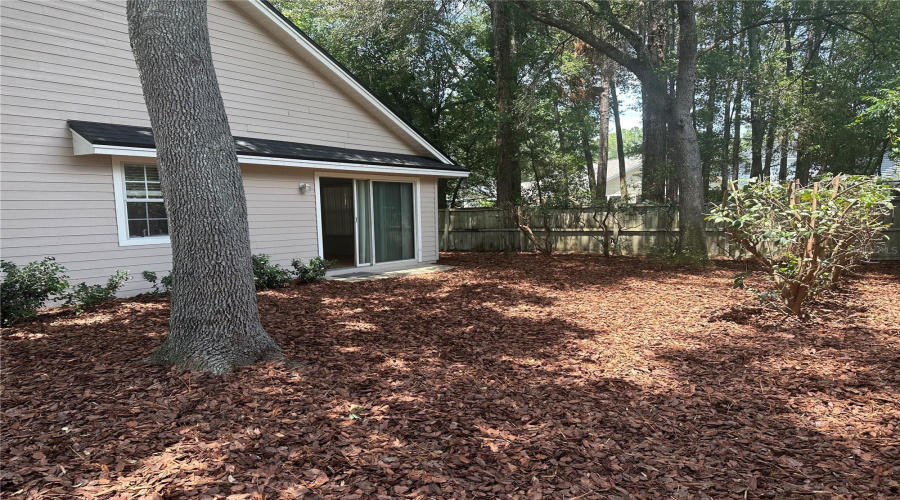 Maintenance Free Back Yard