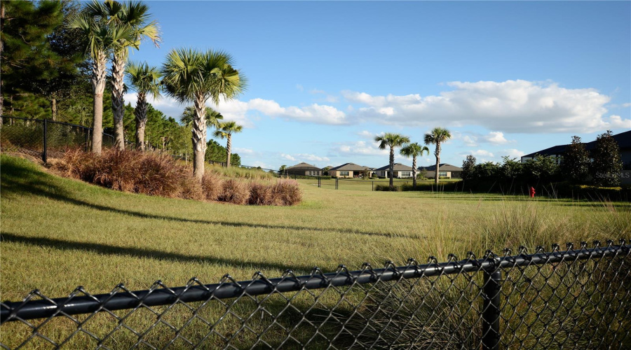 Esplanade Dog Park. We Can'T Forget About Our Furry Family Members