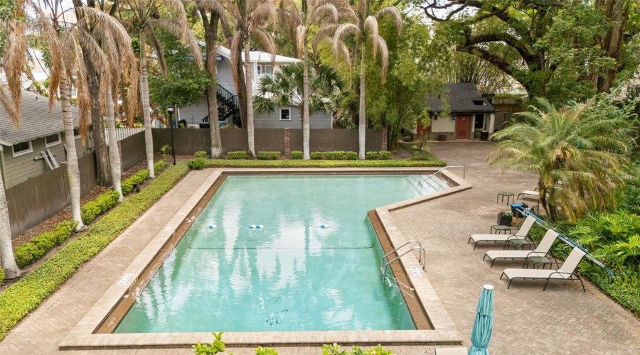 Resort Style Community Pool, You Can See This View From Balcony On 2Nd Floor.