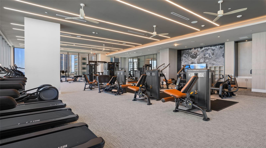 Gym