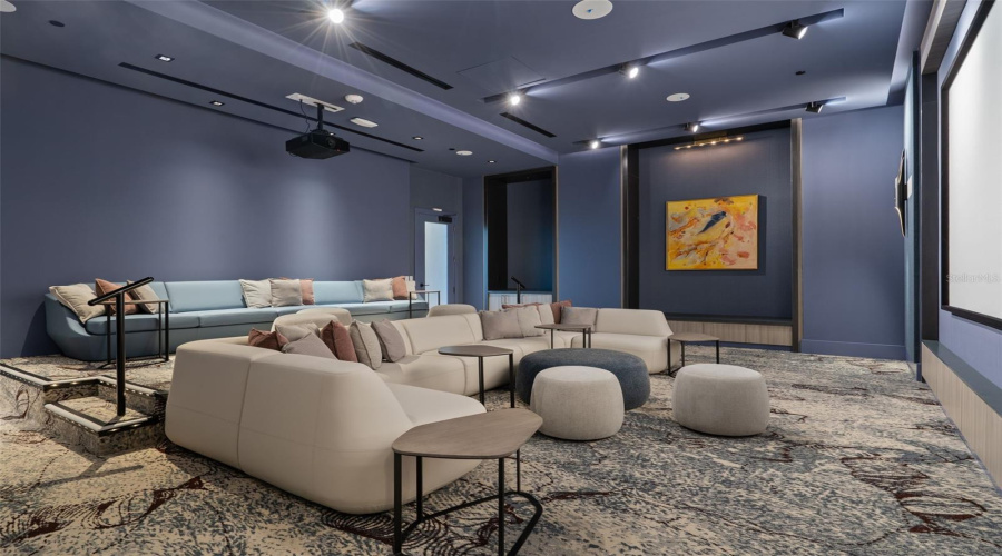 Theater Room