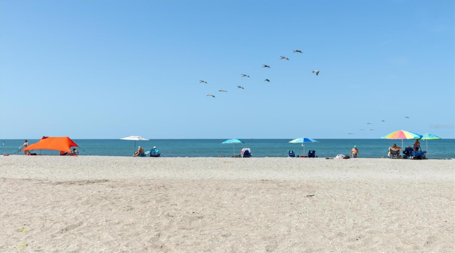 Englewood Beach- Relax