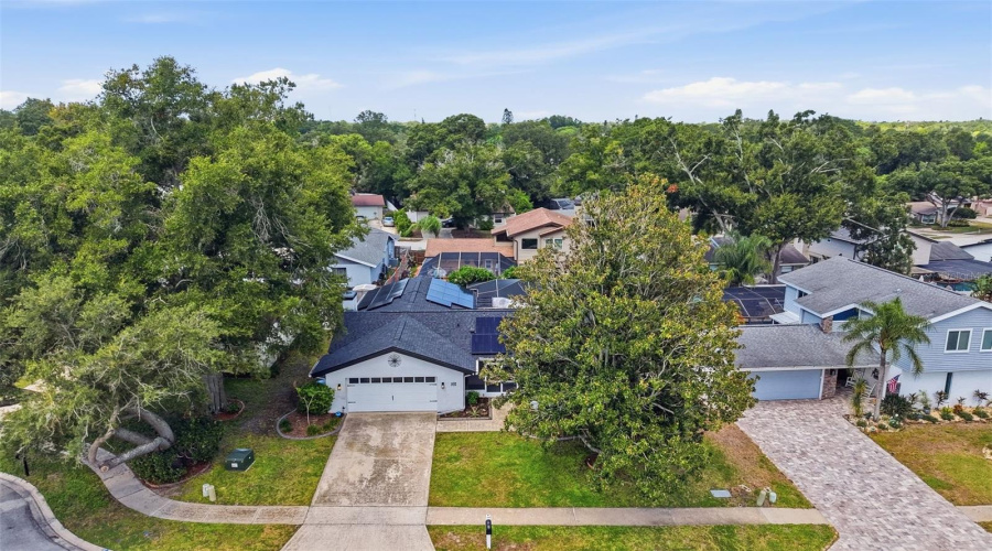 Palm Harbor, Florida 34684, 3 Bedroom Bedrooms, ,2 Bathroombathrooms,Residential,For Sale,Blooming Hill,0,Mfrtb8541076