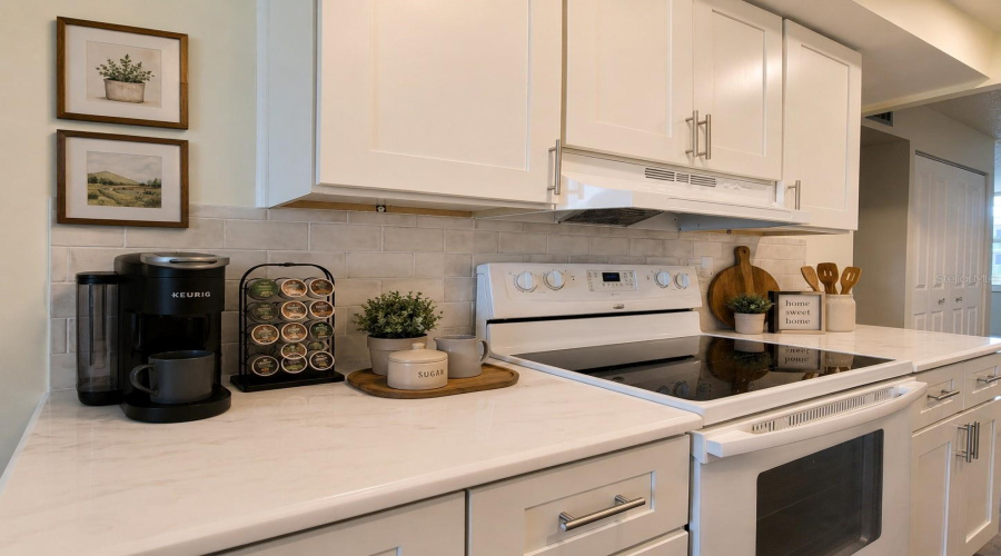 St Petersburg, Florida 33703, 1 Bedroom Bedrooms, ,1 Bathroombathrooms,Residential,For Sale,Locust,0,Mfrtb8538928