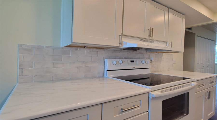 St Petersburg, Florida 33703, 1 Bedroom Bedrooms, ,1 Bathroombathrooms,Residential,For Sale,Locust,0,Mfrtb8538928