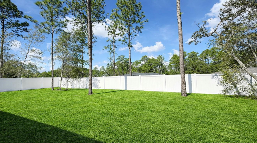 Backyard Fenced