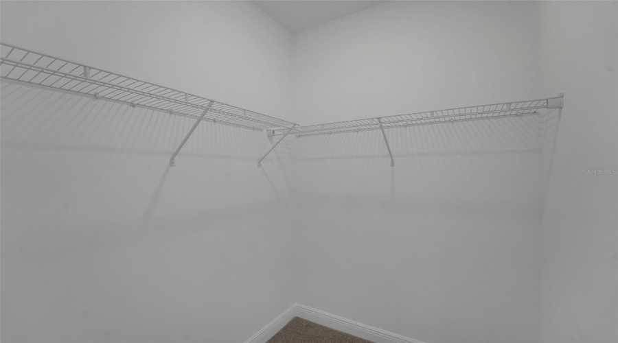 Winter Garden, Florida 34787, 5 Bedroom Bedrooms, ,4 Bathroombathrooms,Residential,For Sale,Tea Tree,0,Mfrg5113803