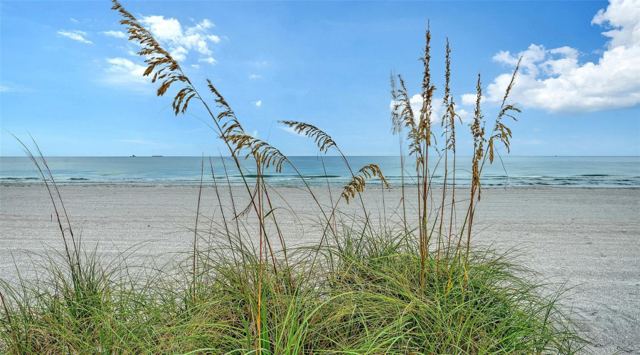 Venice, Florida 34285, 2 Bedroom Bedrooms, ,2 Bathroombathrooms,Residential,For Sale,Tarpon Center,0,Mfra4701884